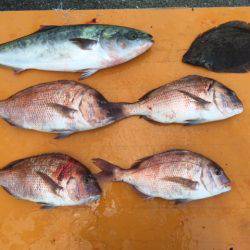 フィッシングパーク錦 釣果