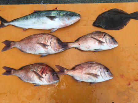 フィッシングパーク錦 釣果