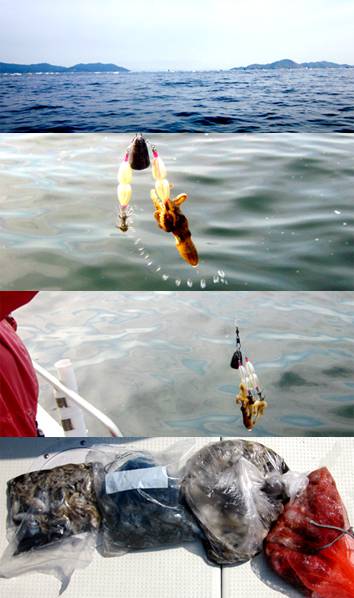 来温丸（らいおんまる） 釣果