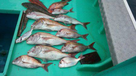 せとうちフィッシング 釣果