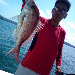 ファイヤードルフィン 釣果