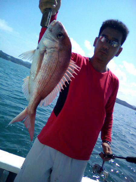 ファイヤードルフィン 釣果