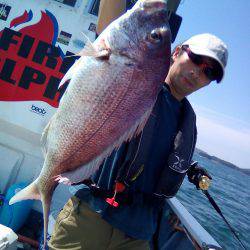 ファイヤードルフィン 釣果