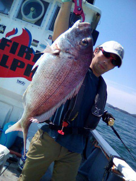 ファイヤードルフィン 釣果