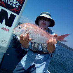 ファイヤードルフィン 釣果