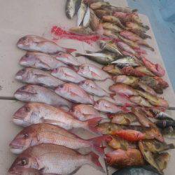 旭星釣りセンター 釣果