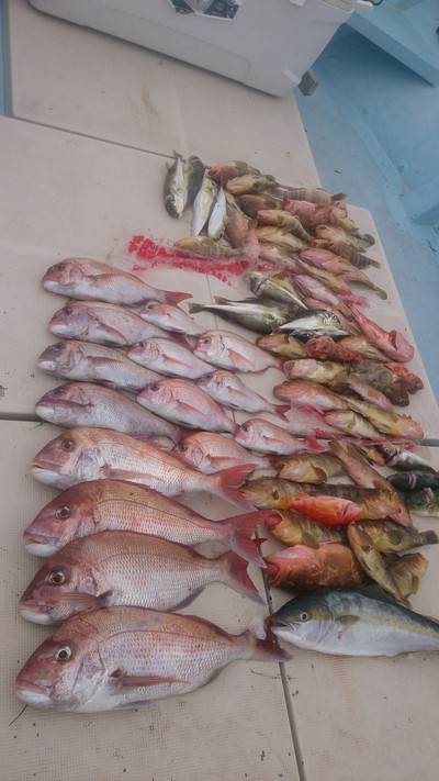 旭星釣りセンター 釣果