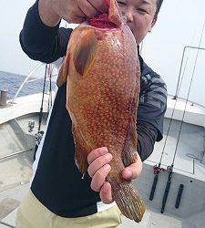 海龍丸（福岡） 釣果