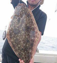 海龍丸（福岡） 釣果