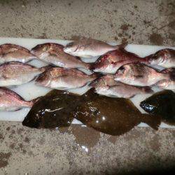 フィッシングパーク錦 釣果