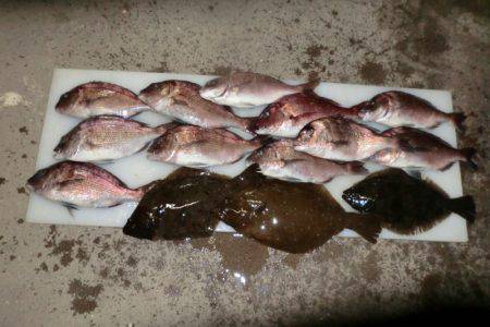 フィッシングパーク錦 釣果