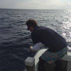 マタウマリンサービス 釣果