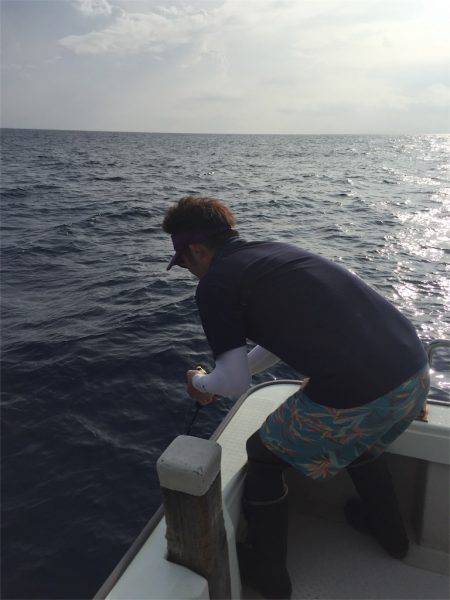 マタウマリンサービス 釣果