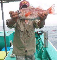 モンロー号 釣果