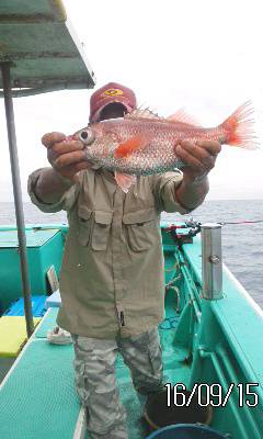 モンロー号 釣果