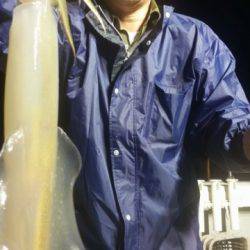 飛燕さくら丸 釣果