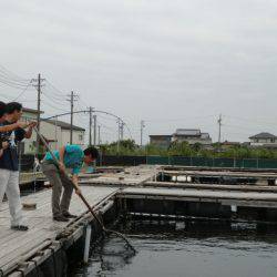 松名瀬フィッシングパーク 釣果
