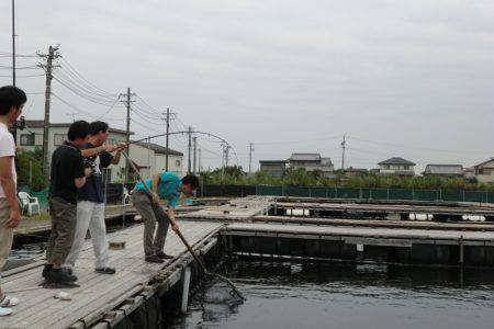 松名瀬フィッシングパーク 釣果