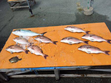 松名瀬フィッシングパーク 釣果