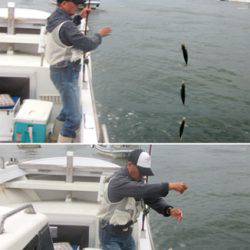 来温丸(らいおんまる) 釣果