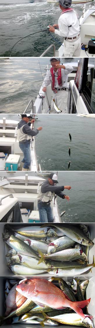 来温丸（らいおんまる） 釣果