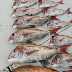 オーフリー 釣果