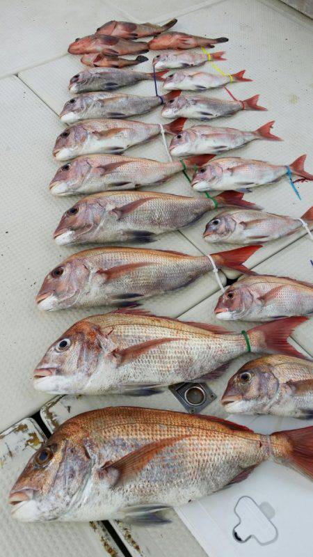 オーフリー 釣果