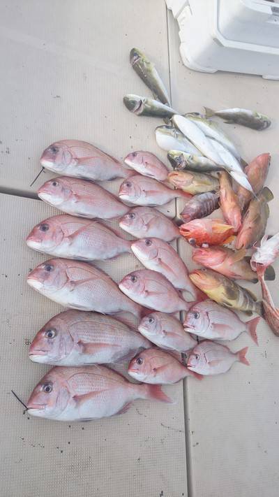 旭星釣りセンター 釣果