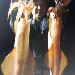 飛燕さくら丸 釣果