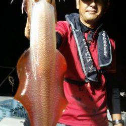 飛燕さくら丸 釣果