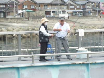 海釣り公園みかた 釣果