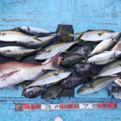 海宝丸 釣果