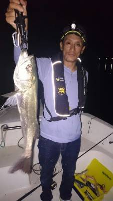 FJガイドサービス 釣果