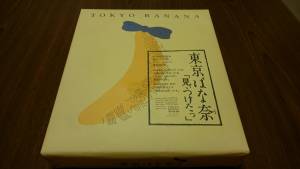 FJガイドサービス 釣果