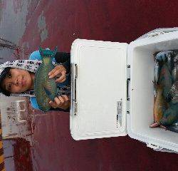本部釣りイカダ 釣果