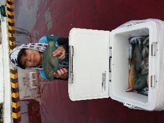 本部釣りイカダ 釣果