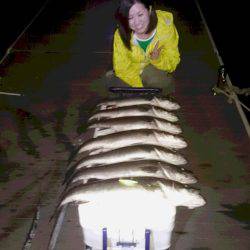 ルアー船マヒマヒ 釣果