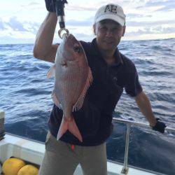 マタウマリンサービス 釣果