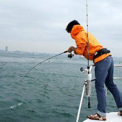 フルコンタクト 釣果