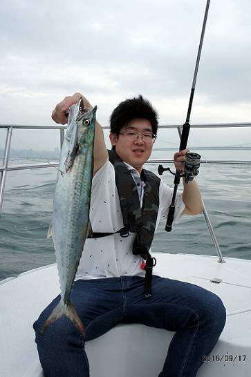 フルコンタクト 釣果