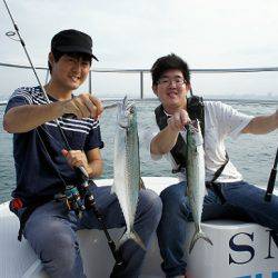 フルコンタクト 釣果