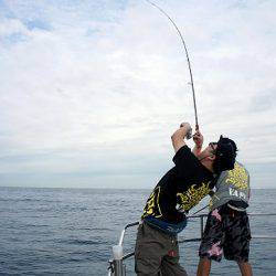 フルコンタクト 釣果