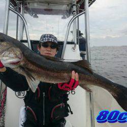 オーシャンマスター 釣果