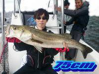 オーシャンマスター 釣果
