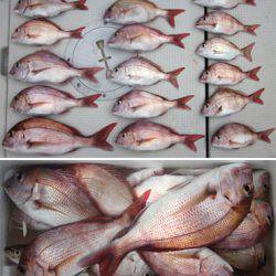 来温丸(らいおんまる) 釣果