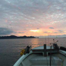 マタウマリンサービス 釣果