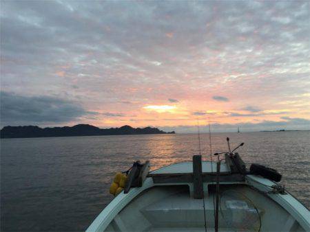 マタウマリンサービス 釣果