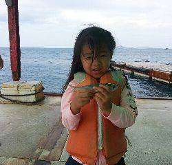 本部釣りイカダ 釣果