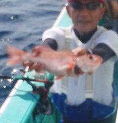 モンロー号 釣果