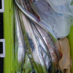 オーフリー 釣果